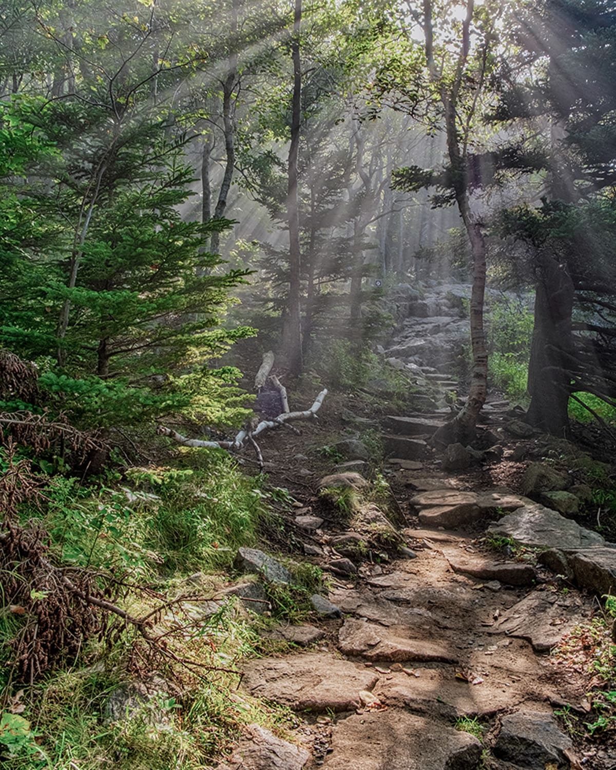 Randonnée bien-être